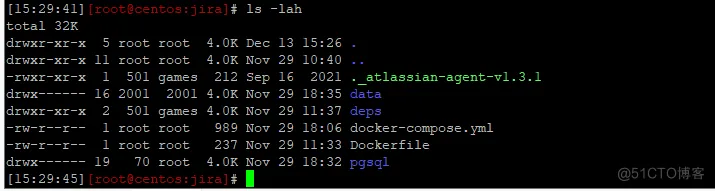 容器指南之自定义 jira 容器镜像_Jira 9.4